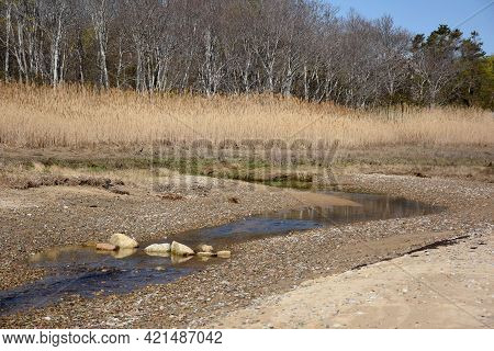 Scenic Saltwater Marsh And Tidal Stream Running Beside A Beach.
