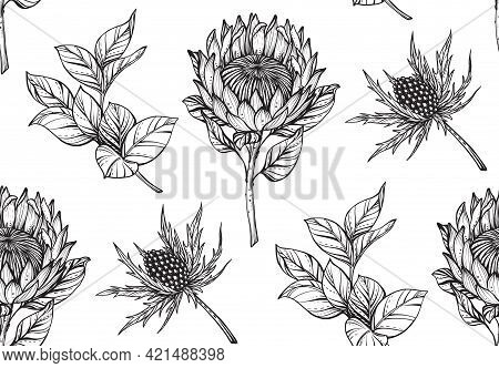 Vector Floral Seamless Pattern. Romantic Elegant Endless Background With Hand Drawn Protea And Fever