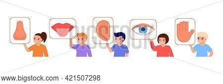 Children Hold Picture With Five Organs Senses. Kids Show Sensory Part Body Eye, Mouth, Hear, Nose, H