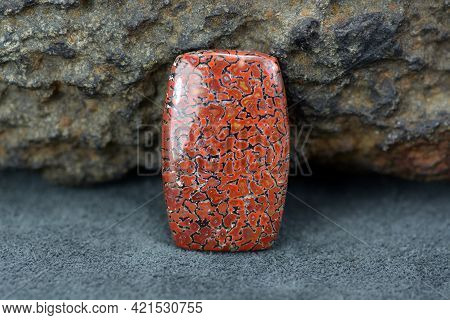 Barrel Shape Cabochon-cut Dinosaur Bone Fossil Brick Red Colored Gemstone With Dark Uniform Vein Tex
