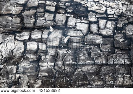 Texture Of Burning Wood And Ash In Details