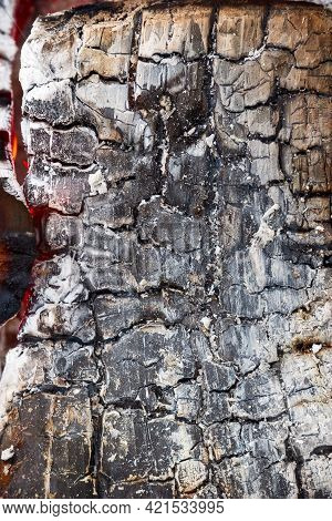 Texture Of Burning Wood And Ash In Details