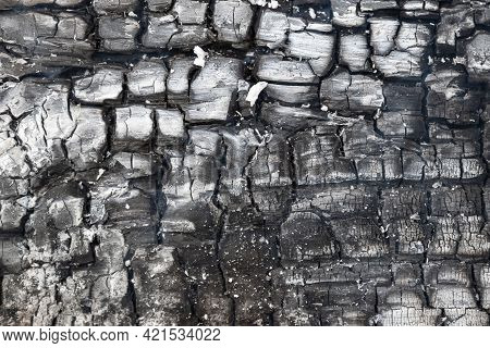Texture Of Burning Wood And Ash In Details
