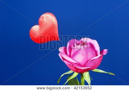 rød rose og hjertet på Valentinsdag