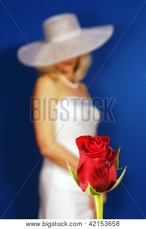 Røde rose for en pige på Valentinsdag