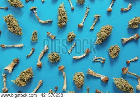 Microdosing Concept. Pattern Of Psilocybin Mushrooms And Marijuana Buds On Blue Background. Psychede