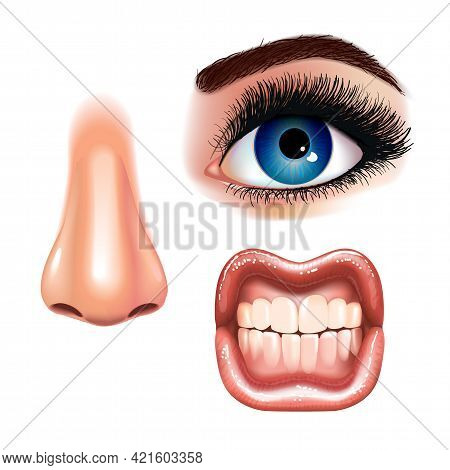 Set Of Beautiful Female Eyes With Extended Eyelashes, Nose And Shining Mouth With Glossy Lips. Grinn