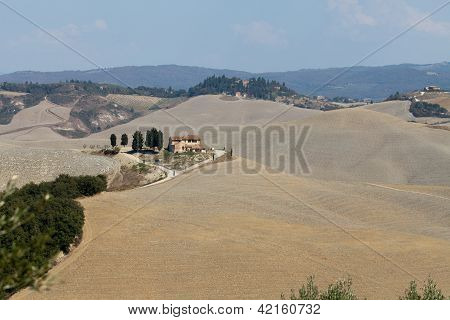 Senesi เกาะครีต
