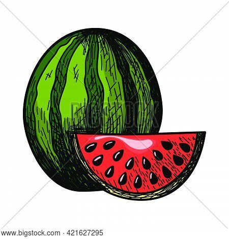 Icon Of Watermelon. Hand Drawn Sketch Design. Vector Illustration.