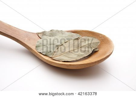 Laurel leaves