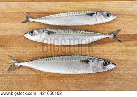 Mackerel Fish In Front Of White Background