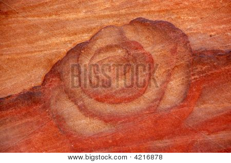 Rose vzor v Rock
