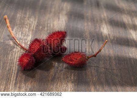 Bixa Orellana - Organic Achiote; Is A Seasoning And Food Coloring.
