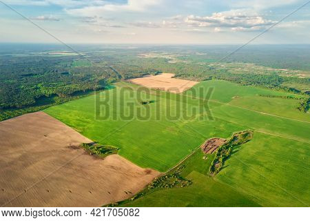 Aerial View Of Agricultural And Green Fields In Countruside. Nature Landscape In Summer Day