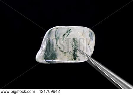 Moss Agate Jewel Stone Texture In Tweezers On Black Background. Macro Closeup.