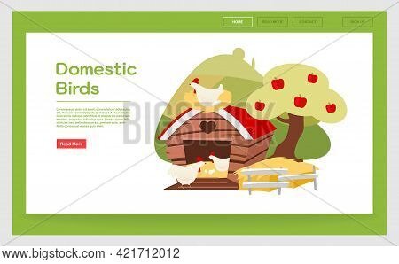 Domestic Birds Landing Page Template. Poultry Farming Website Interface Idea With Flat Illustrations