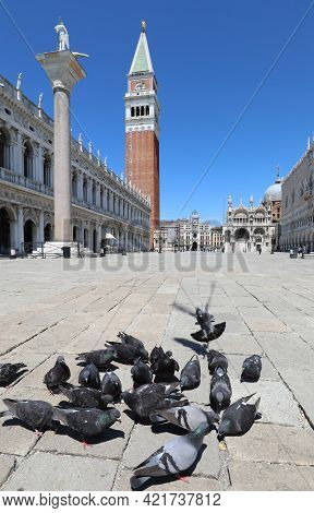 Venice In Italy During The Lockdown With Few People And The Pigeons Eating The Crumbs In The Saint M