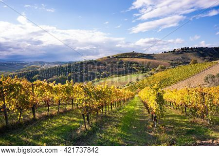 Vineyards And Winery In A Valley, Farming And Wine Pruduction