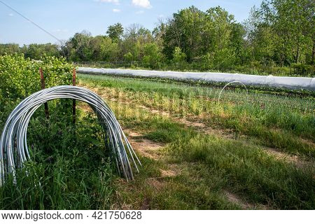 Berautiful Organic Garden With Green Grass And Vegetable Plats And Gardening Tools. Metal Hoops Lean