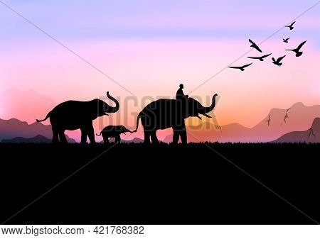 Silhouette Image Black Elephant With Elephant Mahout Walking At The Forest With Mountain And Sunset 