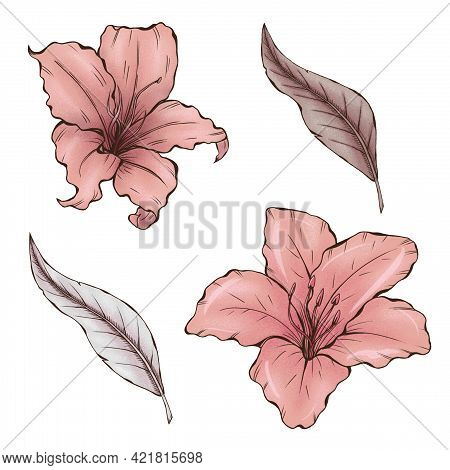 Pale Pink Summer Garden Flowers, Camelia Azalia Florals, Wedding Design Elements