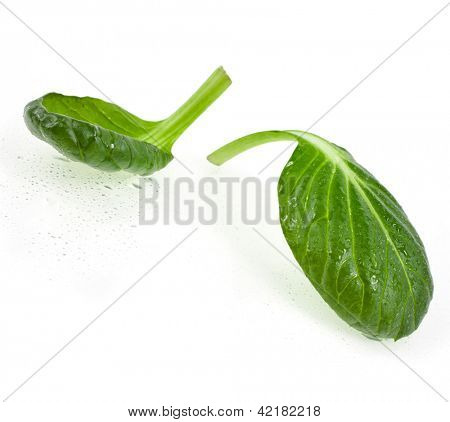 čerstvé zelené listy špenátu nebo pak choi izolovaných na bílém pozadí