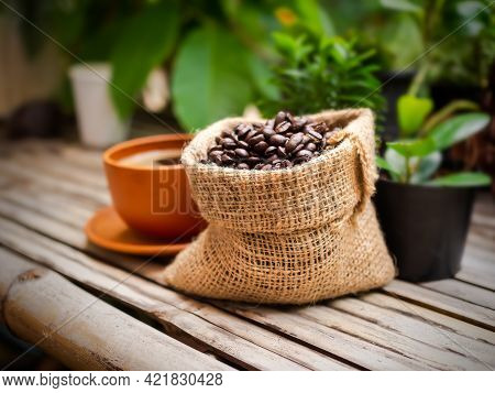 Beans Coffee On Hemp Sack With Wooden Table. Cafeine Food Drink. Growing Organic Coffee Concept.