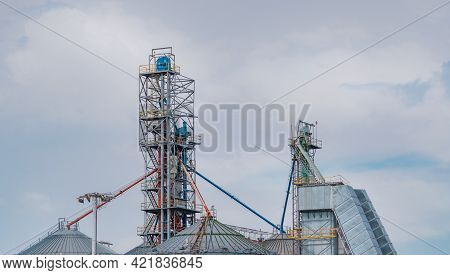 Agricultural Silo At Feed Mill Factory. Big Tank For Store Grain In Feed Manufacturing. Seed Stock T