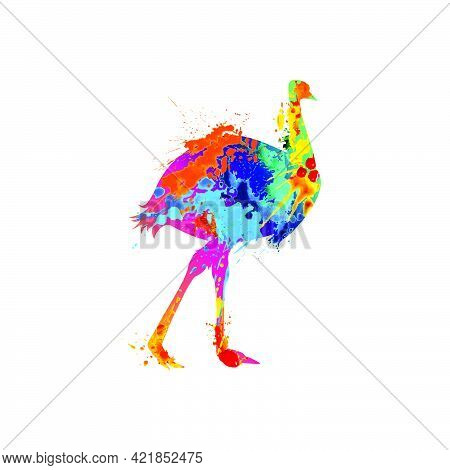 Emu Ostrich Bird Silhouette. Vector Symbol Of Splash Paint