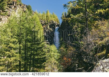 Mountain Autumn Landscape With Vertical Big Waterfall And Yellow Larch Trees. Large Waterfall In Nar