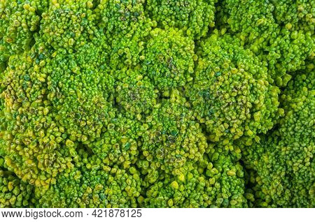 Top View Of Broccoli, Texture Of Broccoli Macro, Healthy Vegetarian Food, Close-up