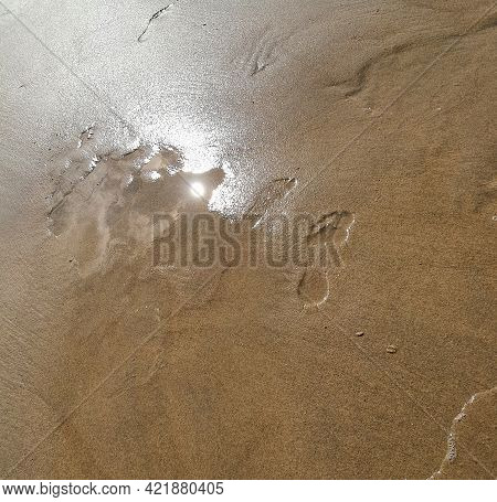 Footprints Of Human Feet On The Sand Near The Water On The Sea Beach.