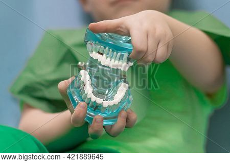 Soft Focus, Selective Focus Child Hands Hold Glass Jaw With Aching White Teeth With Caries And Pulpi