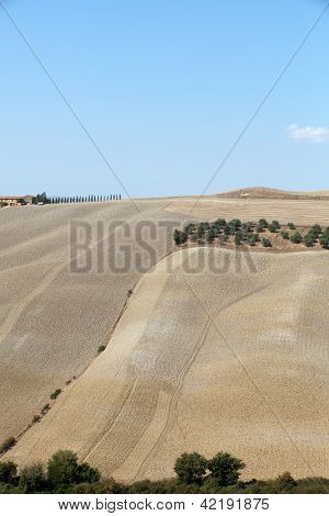 Senesi เกาะครีต