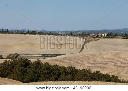 Senesi เกาะครีต