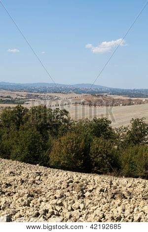 Senesi เกาะครีต