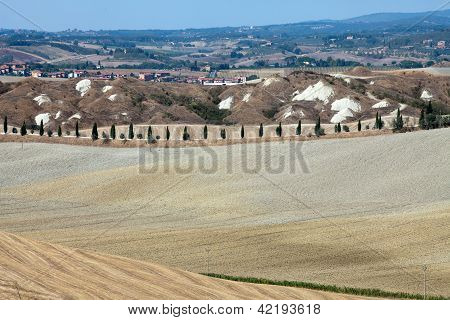 Senesi เกาะครีต