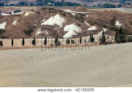 Senesi เกาะครีต