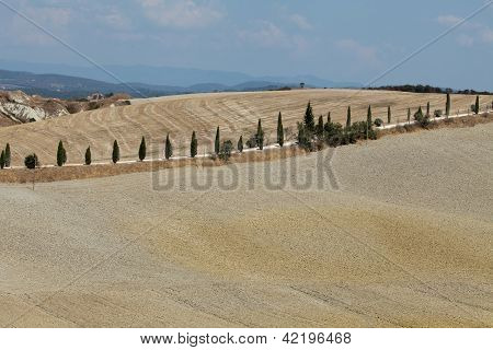 Senesi เกาะครีต