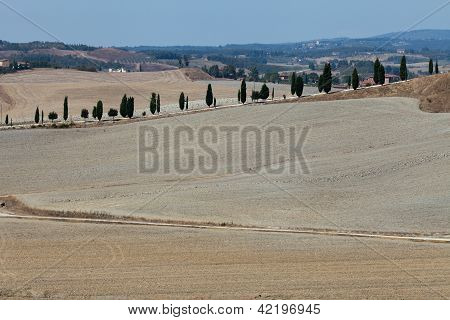Senesi เกาะครีต