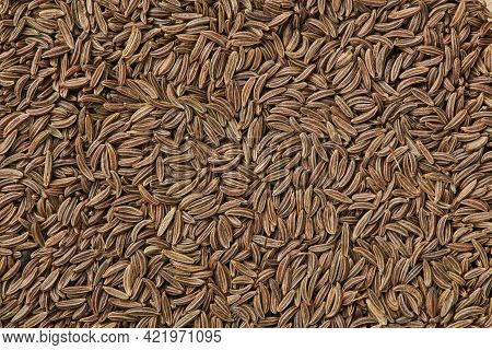Scattered Caraway Seeds. Dried Caraway Seeds As Food Background. Pile Of Cumin Seeds. Seasoning For 