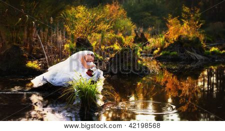 Beautiful Bride On The Lake, Portrait