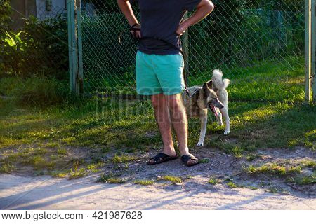 Defocus Young Man With His Dog Standing Outdoor During Summer Day. Hound Dog Seating Through Green G