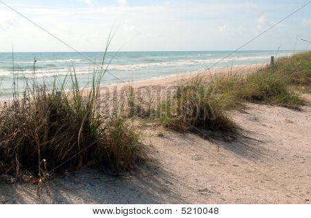 Strand Dünen