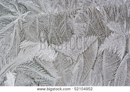 Frost Flower