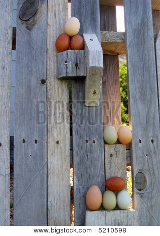 huevos