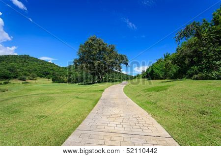 Landscpe With Pathway And Blue Sky