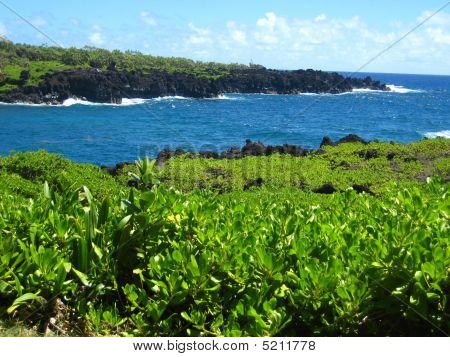 Black Sand Beach Güney Maui