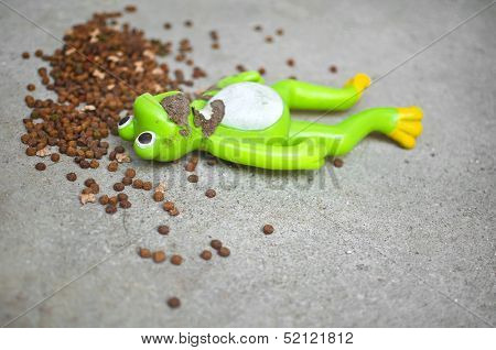Filthy Frog Toy Surrounded By Animal Food. Forsaken Concept
