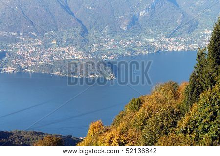 Trees On Como Lake